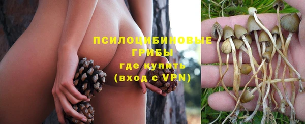 спиды Белокуриха